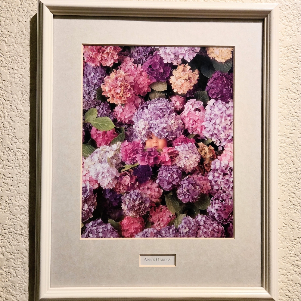 Anne Geddes Floral Baby Art Photography Print. Pink/Purple Hydrangeas 12 X 15 In